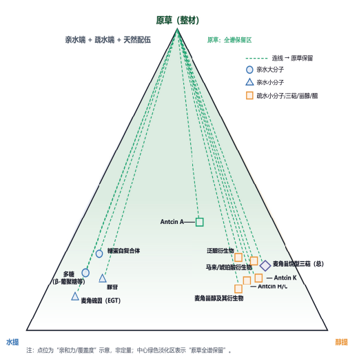牛樟芝的提取与应用