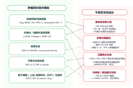 出院后改善肿瘤微环境是预防复发的关键