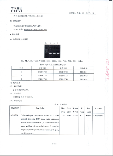 二、看成分