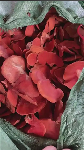 真假牛樟芝如何辨别